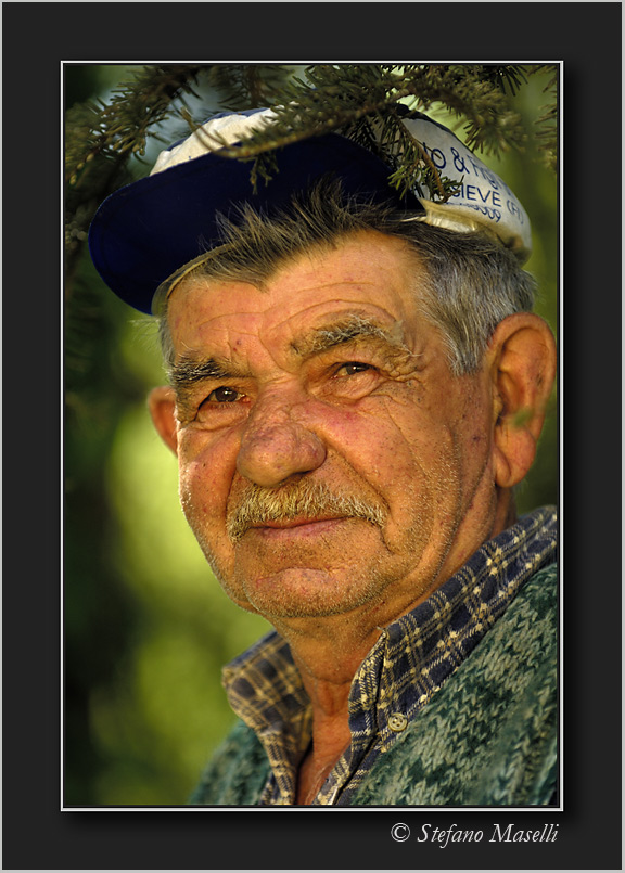user posted image